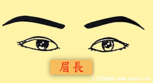 >美容时尚>1,龙眉龙眉的位置比较高,眉毛宽但是比较整齐,而且眉峰明显