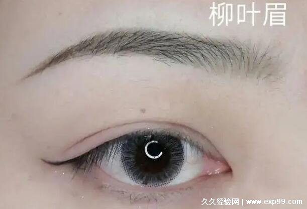 男人女人十大富贵眉毛图片及名称大全柳叶眉财运旺人缘好