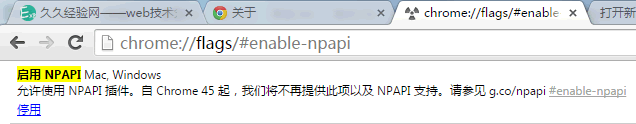 谷歌浏览器启用NPAPI插件的方法