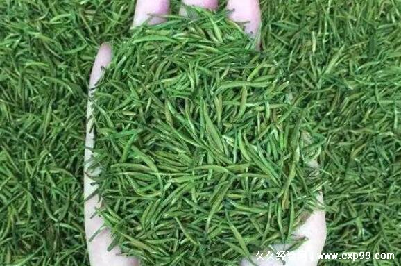 都匀毛尖属于什么茶