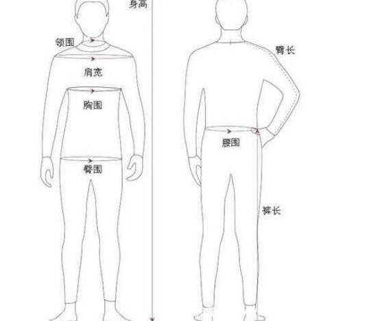 男性标准腰围图片