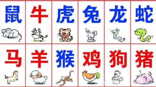 2022十二生肖49码图,十二生肖排表图2020 十二生肖排列顺序表年龄表2022鼠排在第一根据年份找生肖