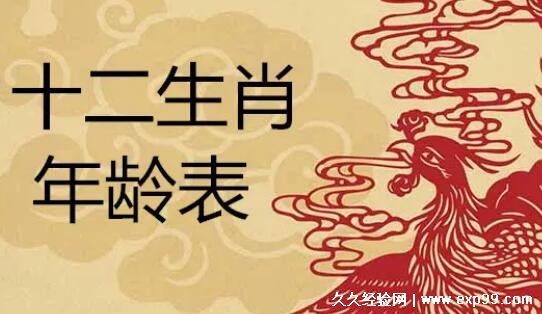 2022十二生肖49码图,十二生肖排表图2020 十二生肖排列顺序表年龄表2022鼠排在第一根据年份找生肖