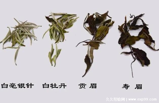 白茶的种类主分为四类图片白毫银针茶中极品白牡丹贡眉寿眉