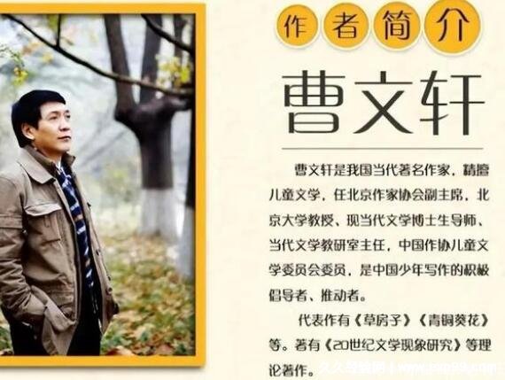 沈石溪的书为什么不能看，不仅有常识性错误还少儿不宜