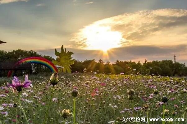 美景随拍感言简短句子享受自然美好与惬意时光适合发朋友圈