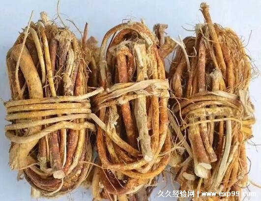 五指毛桃和什么煲汤最好，搭配5种食材煲汤营养又美味