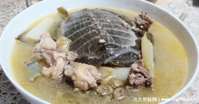 甲鱼汤怎么做好喝又营养，4步做出鲜美甲鱼汤(家常配料就能做)